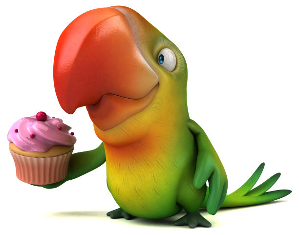 有趣的鹦鹉图片下载