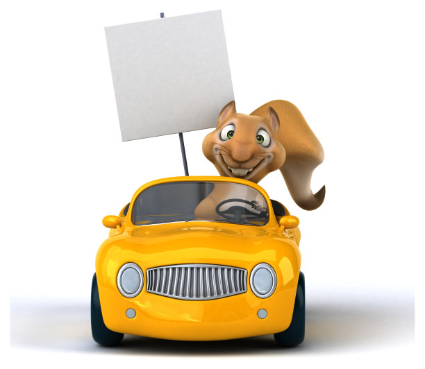 有趣的松鼠图片下载