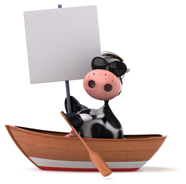 有趣的牛图片下载