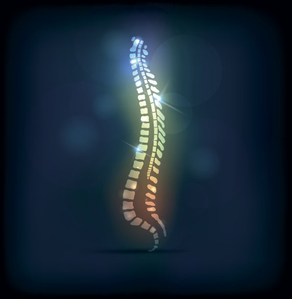 彩色脊柱图片下载