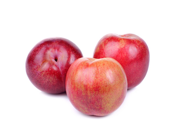 孤立在白底上的红梅图片下载