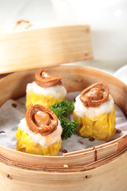 森林。图片下载