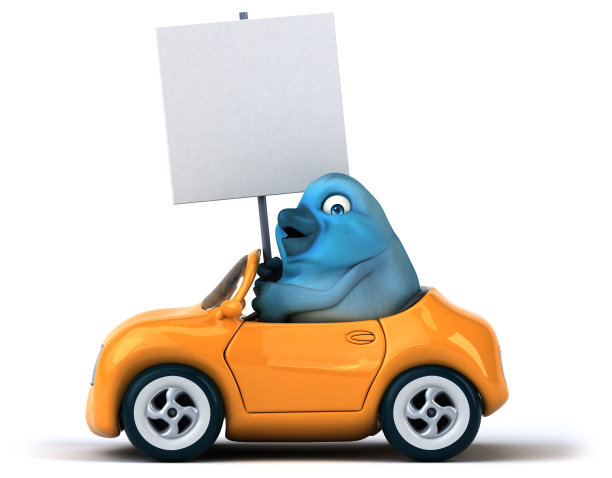 蓝色的鸟图片下载