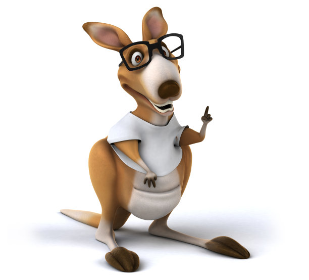 有趣的袋鼠图片下载