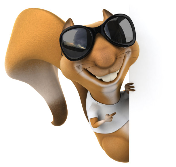 穿着白色t恤的松鼠图片下载