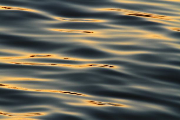 湖面上耀眼的阳光图片下载