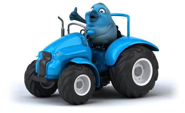 蓝色的鸟图片下载