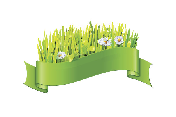 草和花在绿色的丝带图片下载