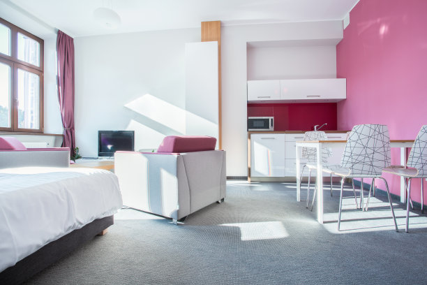 小现代公寓的内部图片下载