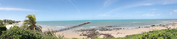 贝拉·纳塔图片下载