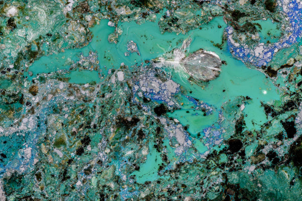 水污染的场景。图片下载