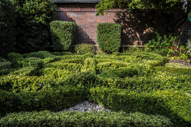 都督花园图片下载