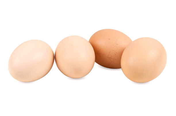 卵孤立在白色背景上图片下载