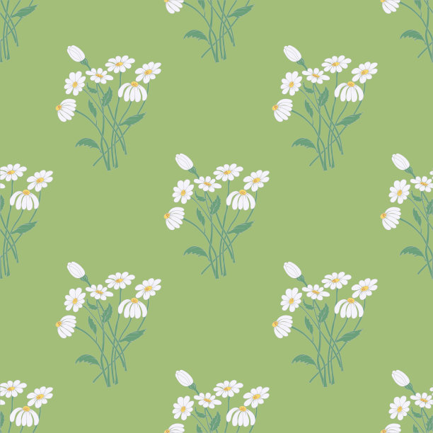 无缝模式与洋甘菊花香图片下载