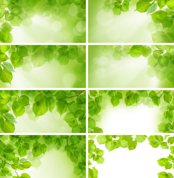 绿叶-背景和边框，设计元素图片下载