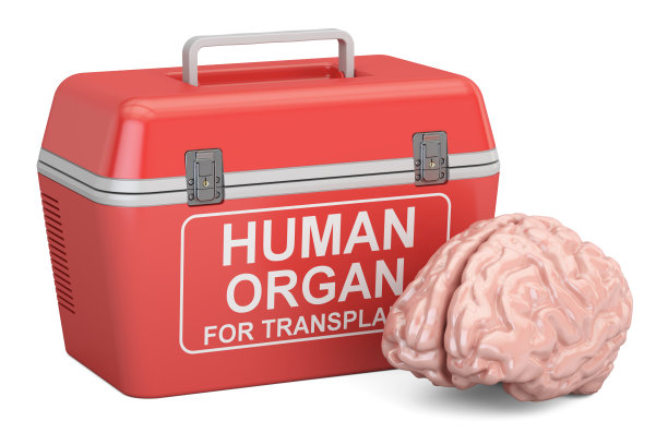 便携式冰箱，用于运送捐赠器官与人脑，3D渲染图片下载