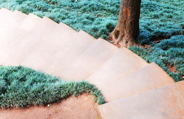 植物花园图片下载