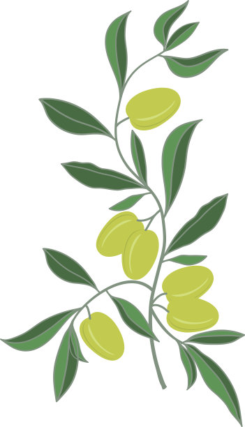 橄榄图片下载