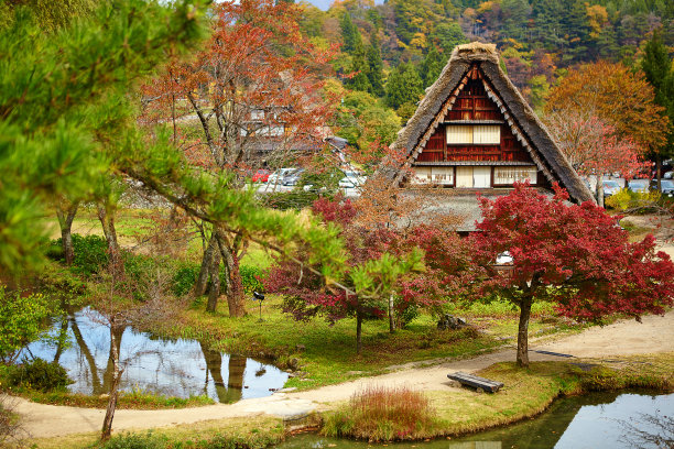 日本历史村庄白川岗的房子图片下载