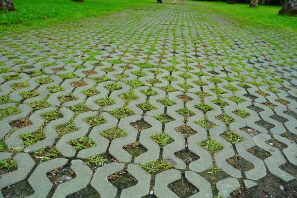 纹理混凝土中的绿色背景图片下载