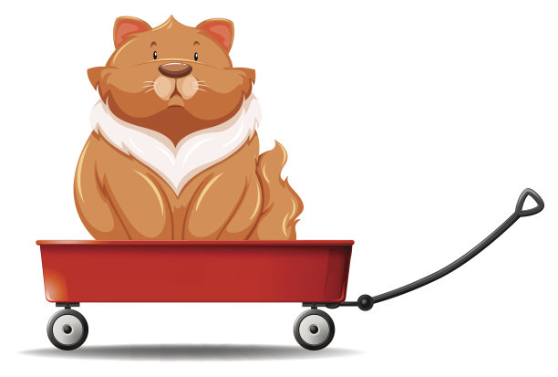 肥猫坐在马车上图片下载