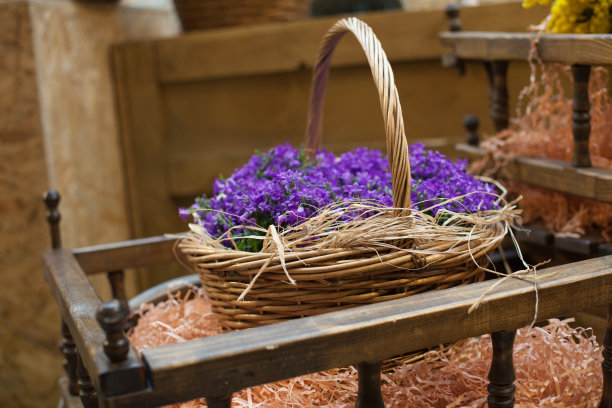 篮子与紫罗兰蓝色的花春天图片下载