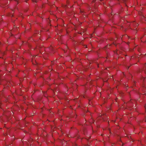 美丽的红玫瑰花瓣的背景。每股收益10图片下载