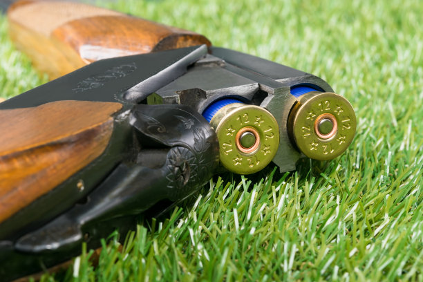 绿草的背景是上了膛的猎枪图片下载