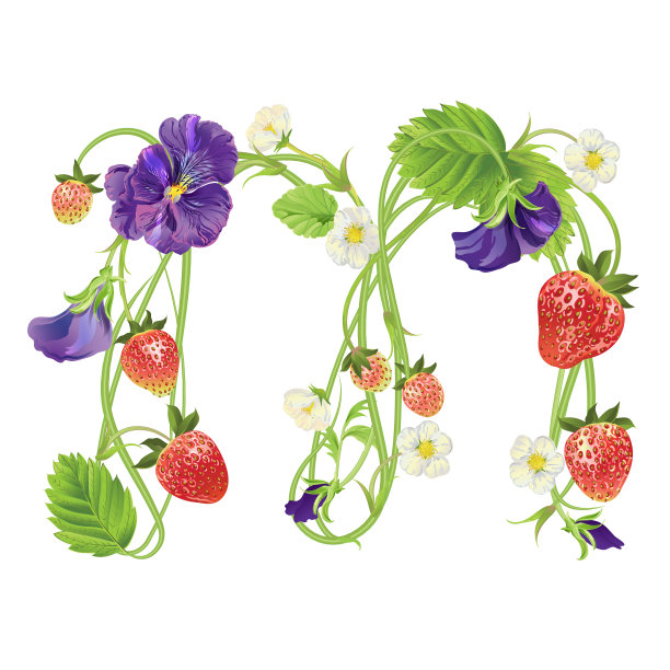 草莓字体。红莓字母字母表。水果ABC图片下载