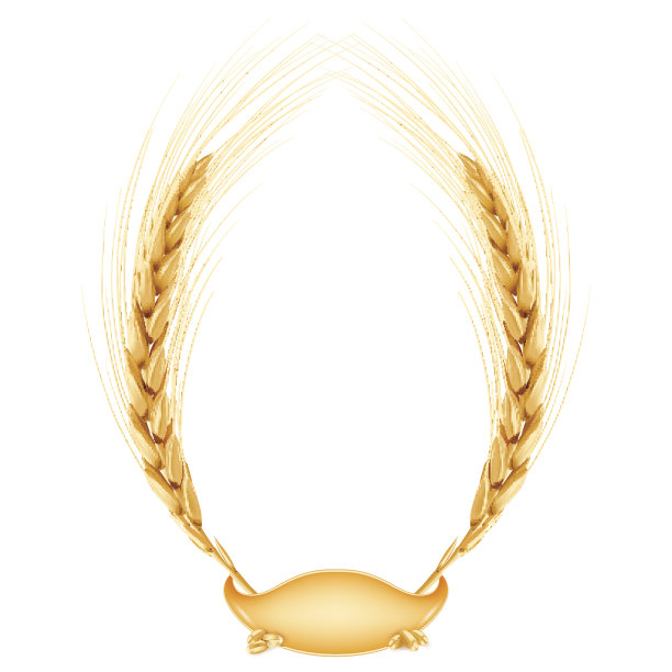 小麦、矢量框架。图片下载