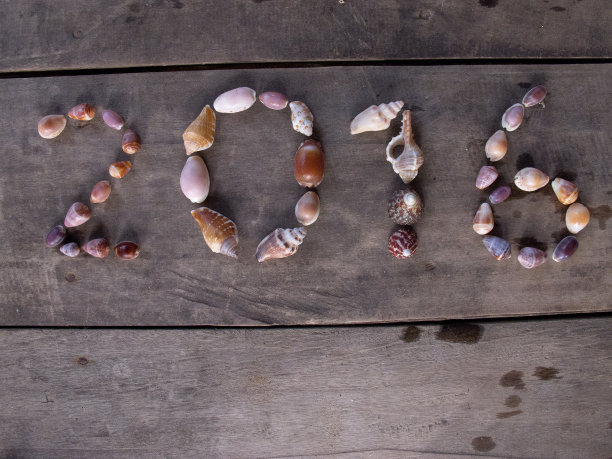 贝壳- 2016图片下载