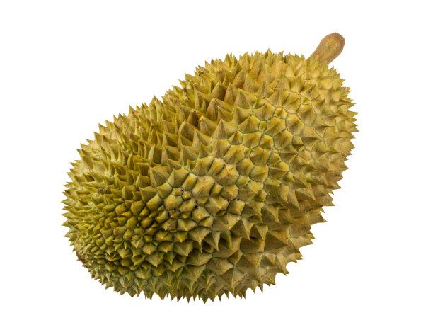 暗煤水果孤立图片下载