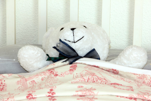 泰迪的爱图片下载