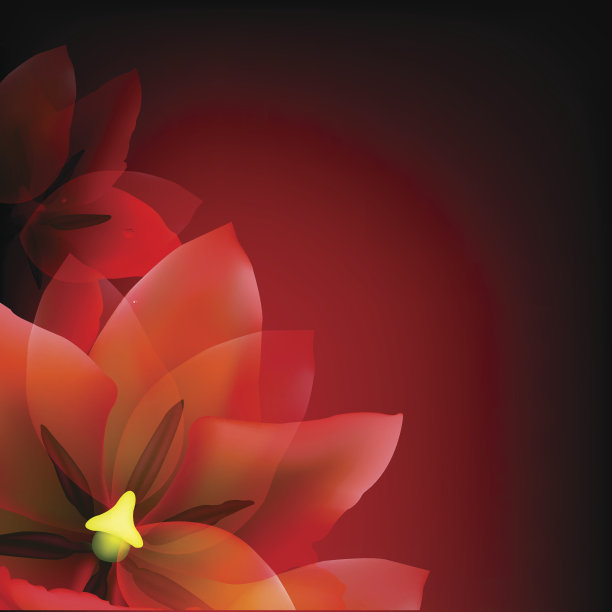 红色郁金香和模糊背景图片下载