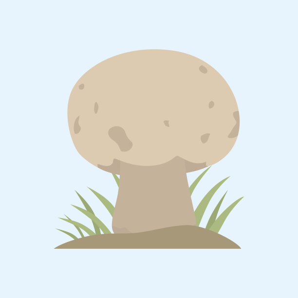 有毒的白菇自然食品素食健康的秋季食用和真菌有机蔬菜原料矢量插图素材图片