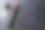 红酒瓶图片素材ID：157665970