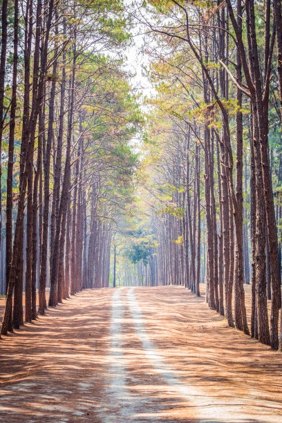 宣子坤图片下载