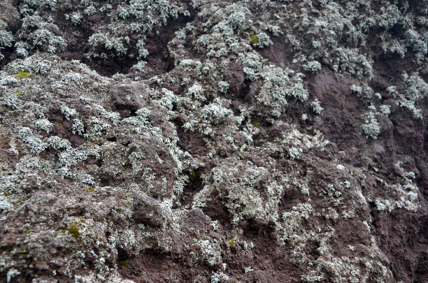 火山岩石详细照片的自然石头图片下载