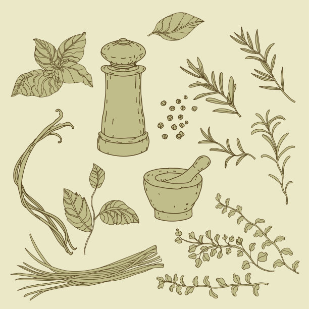 手绘的意大利菜单。菜的迹象。图片下载