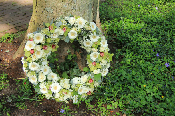 同情花环图片下载