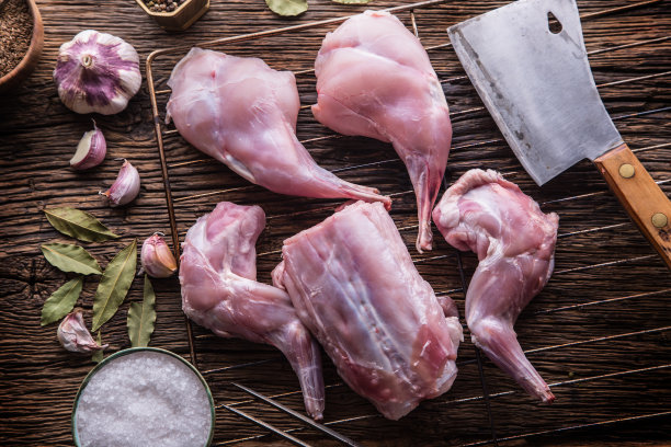 兔子照片素材ID：157673548