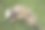 大树根，大树根砍树，大树根画树图片下载