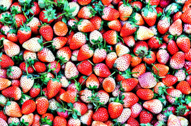 生草莓背景图片下载