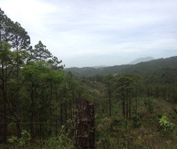 圣卢西亚图片下载