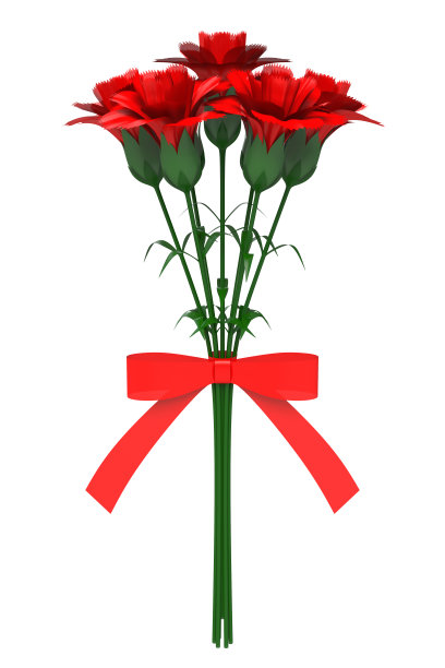 红色的康乃馨图片下载