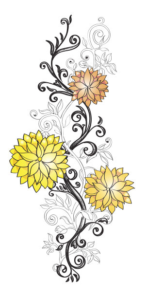 美丽的图案与树叶和大多彩的精致花朵图片下载