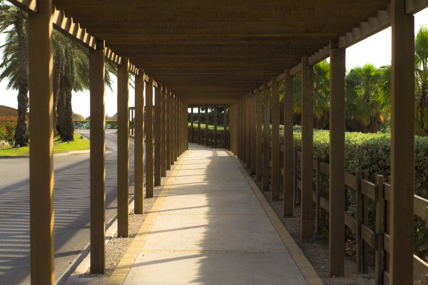 穿过兔子洞图片下载