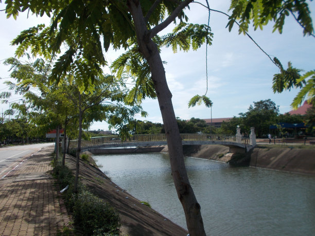 绿色的河流和大自然。图片下载