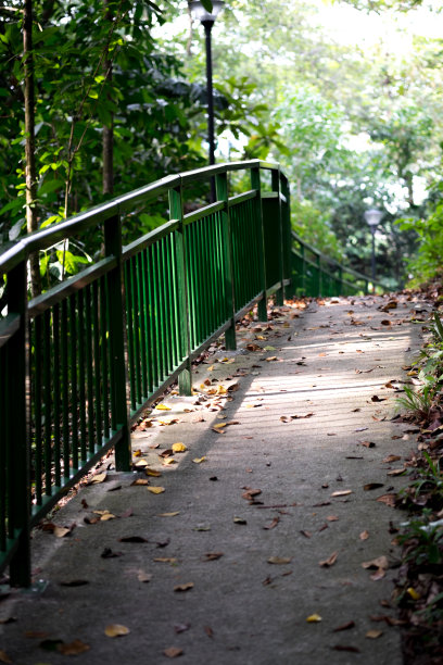 森林中的小径图片下载