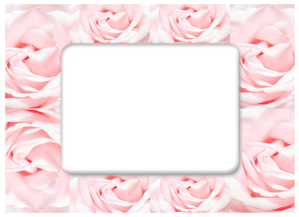 玫瑰相框，盛开的鲜花复古背景，柔和柔和的卡片图片下载